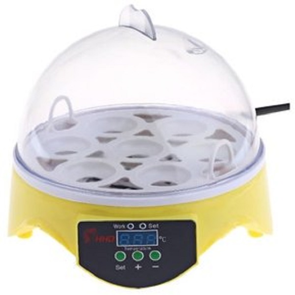 Mini Incubadora Para 7 Huevos Gallina O Pato