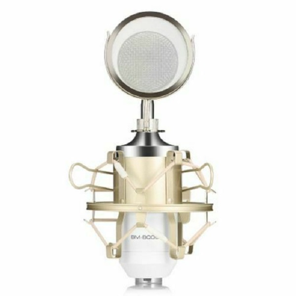 Microfono Condensador Profesional Bm8000 Color Blanco