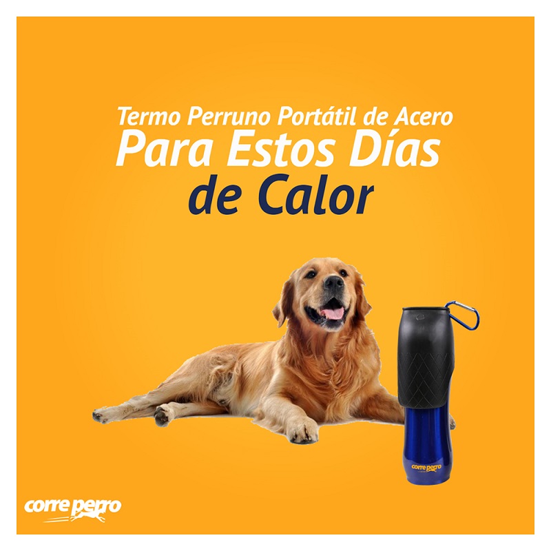 Bebedero Acero Portatil Mascotas Perros Corre Perro