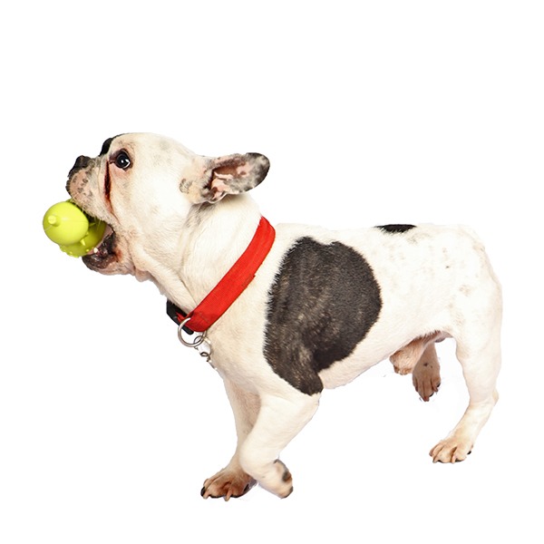 Juguete-Mordedera De Silicón Para Perro Innovapets