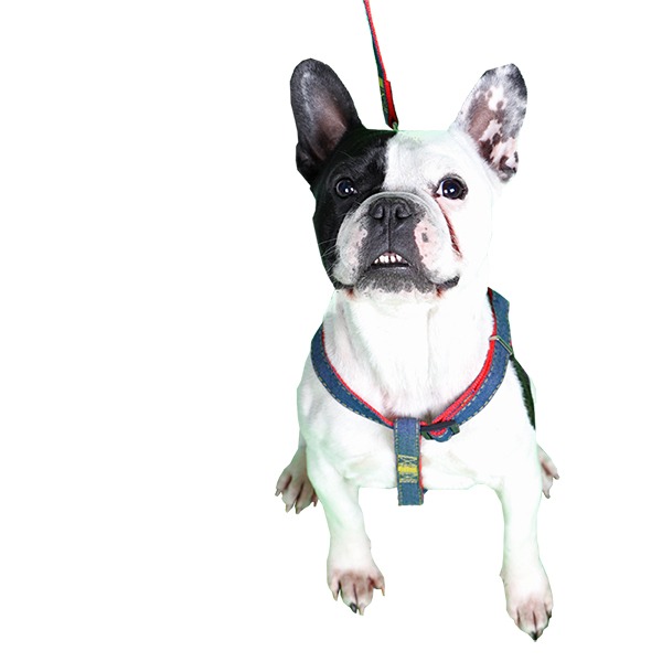 Pechera-Arnés Para Perros Innovapets