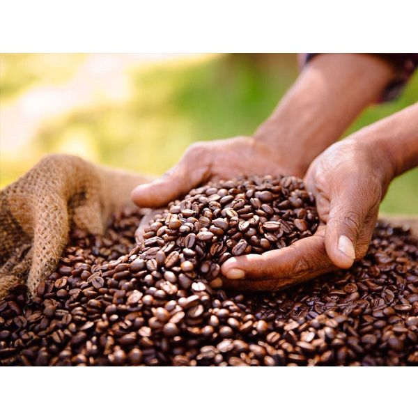 1 Kg Café Gourmet Mexicano En Grano Blackmore Coffee