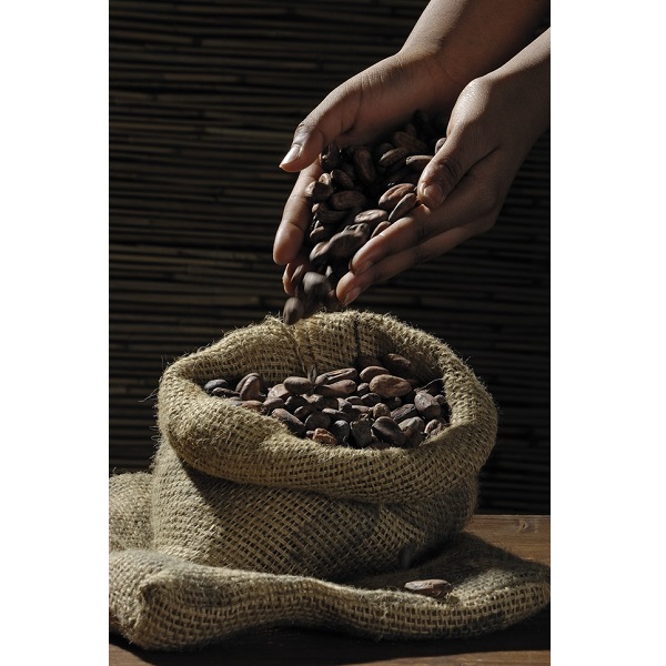 1 Kg Café Gourmet Mexicano En Grano Blackmore Coffee