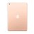 iPad Apple 32gb 10.2 7ma  A10 Caja Sellada -Oro