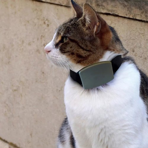 Collar con monitor para mascotas con gps tracker y alarma a prueba de agua - Zeta - Black