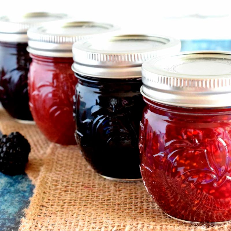 8pz Frasco de Vidrio Mason Jars Elite Jam Jar Ball 8oz/227ml