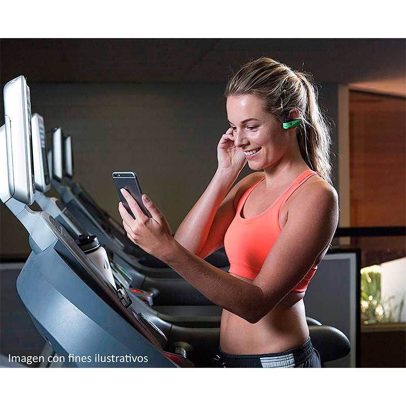 Audifonos Bluetooth ERATO Rio Inalambricos Recargables Manos Libres ARIO-GN-C