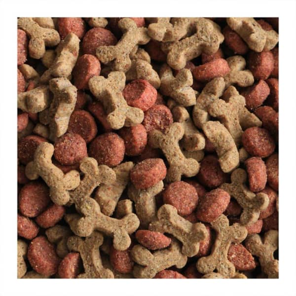 Alimento para Perro Member's Mark Sportsman's Choice Razas Pequeñas 8 kg