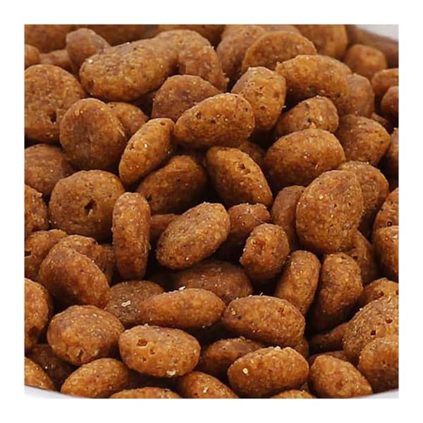 Alimento para Perro Exceed Adulto 8 kg