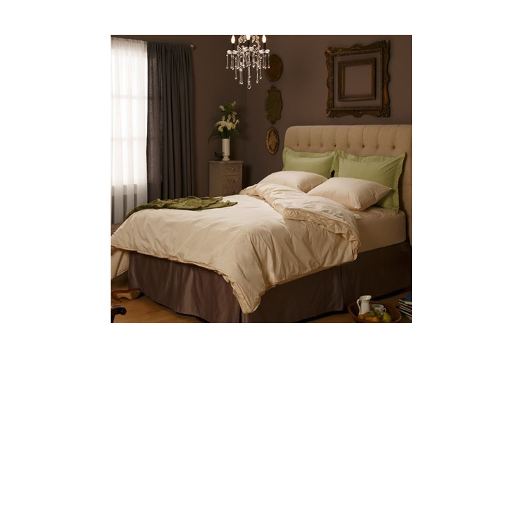 2 Almohadas Jumbo Con Funda Orgánica AllerEase 1371188 CST