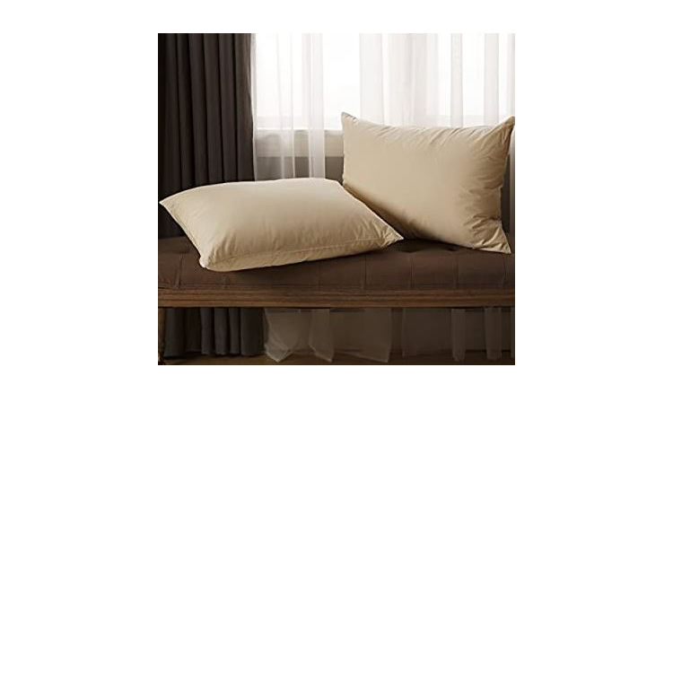 2 Almohadas Jumbo Con Funda Orgánica AllerEase 1371188 CST