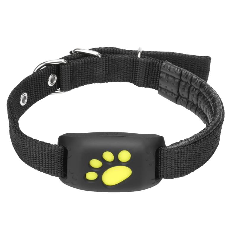 Correa Para Perro Con Gps