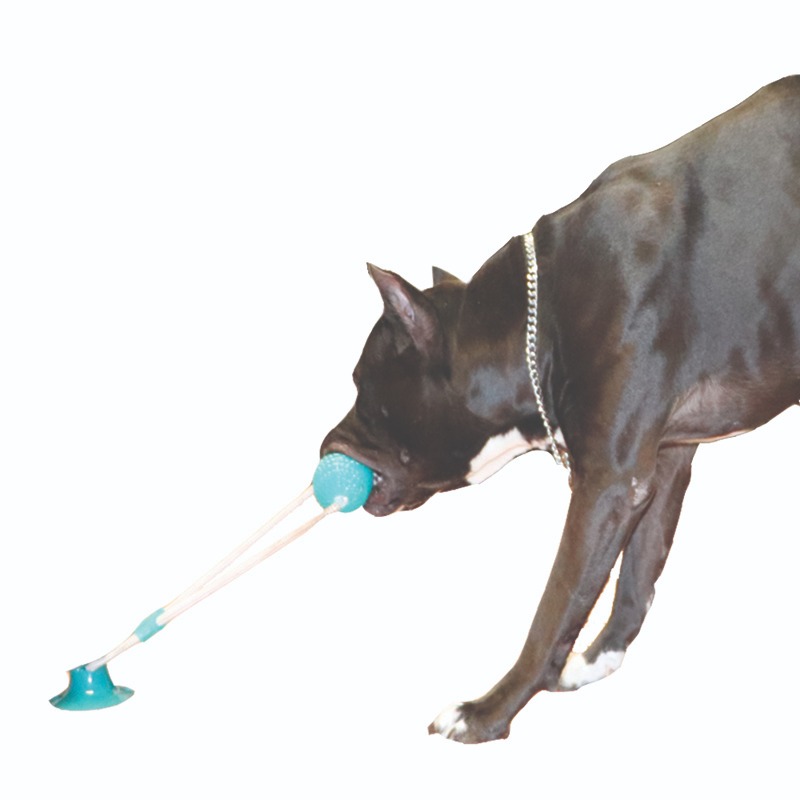 Mordedera Estática Para Perro Con Ventosa Innovapets