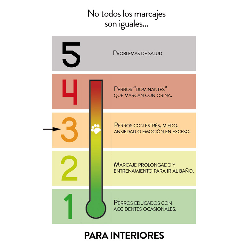 Señor Dog® ¡Ahí No! Nivel 3 Interiores. Marcaje por Ansiedad. Repelente natural de perros 750ml + Collar Feromonas