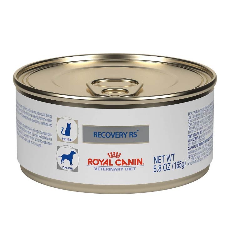 Royal Canin Lata Recovery 12 Latas De 165g C/u