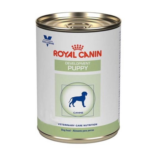 Royal Canin Development Puppy 12 Latas De 385 Gr C/u - Alimento para Cachorro