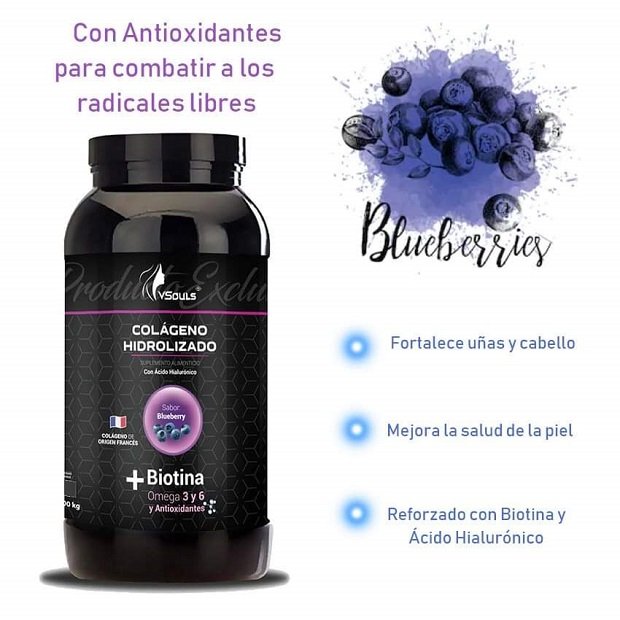 Colageno Hidrolizado Con Biotina Sabor Blueberry 600 grs.