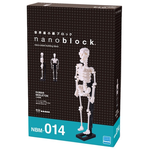 Nanoblock Esqueleto Humano