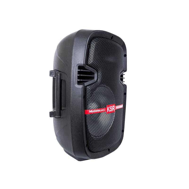 Sistema Profesional de Bafle Amplificado y Pasivo de 8" - Kaiser