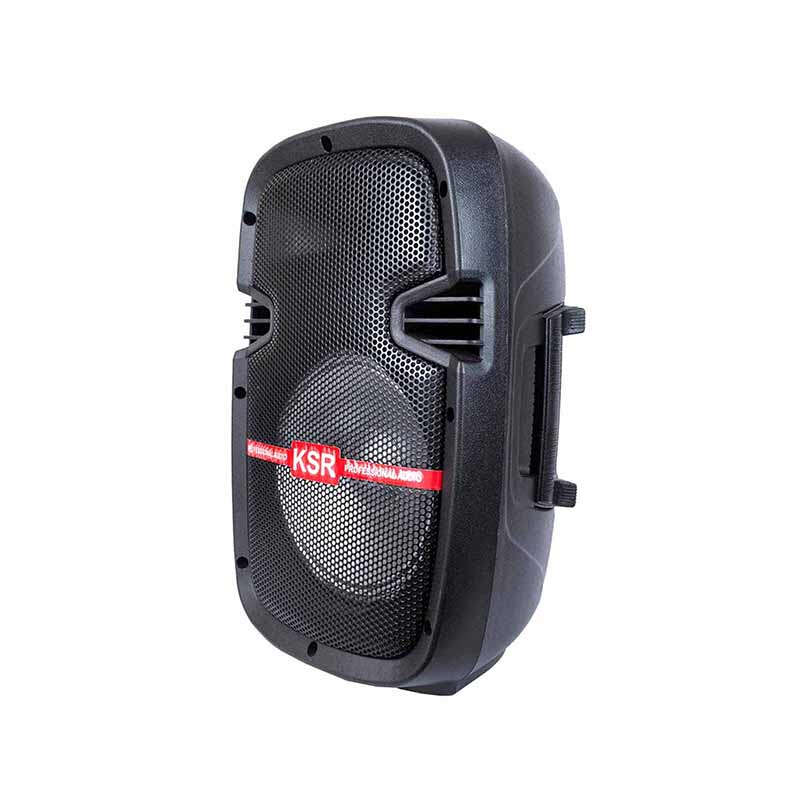 Sistema Profesional de Bafle Amplificado y Pasivo de 8" - Kaiser