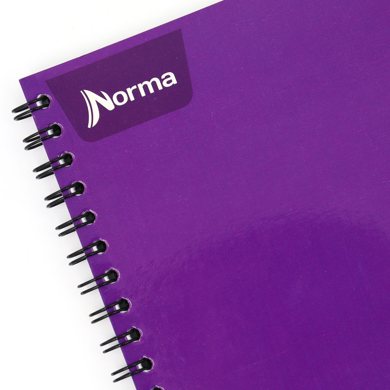 Cuaderno Profesional Norma Uno 100h Doble Espiral 8399