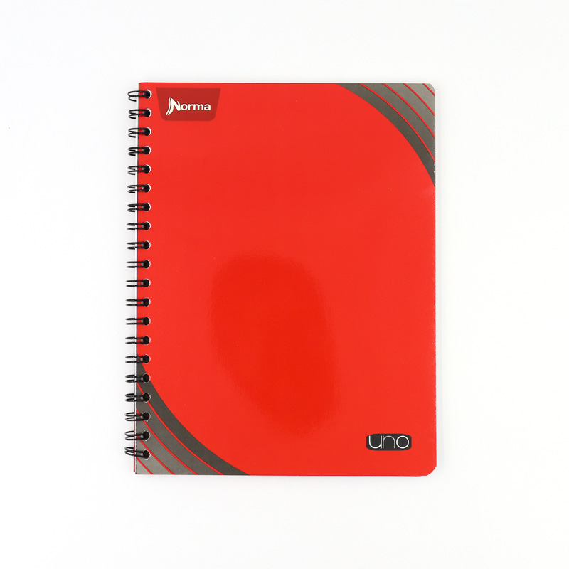 Cuaderno Profesional Norma Uno 100h Doble Espiral 4291