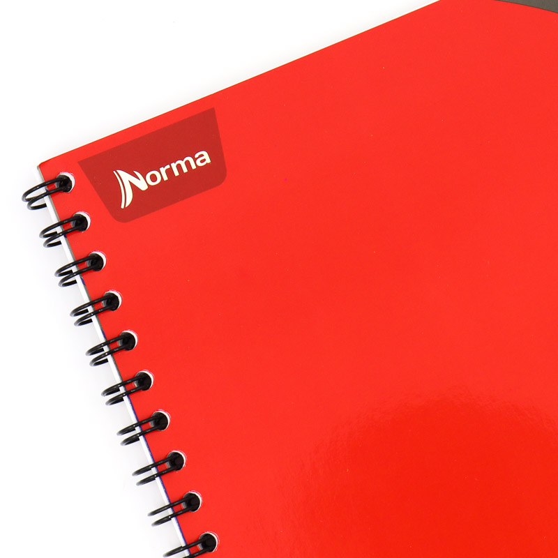 Cuaderno Profesional Norma Uno 100h Doble Espiral 7476