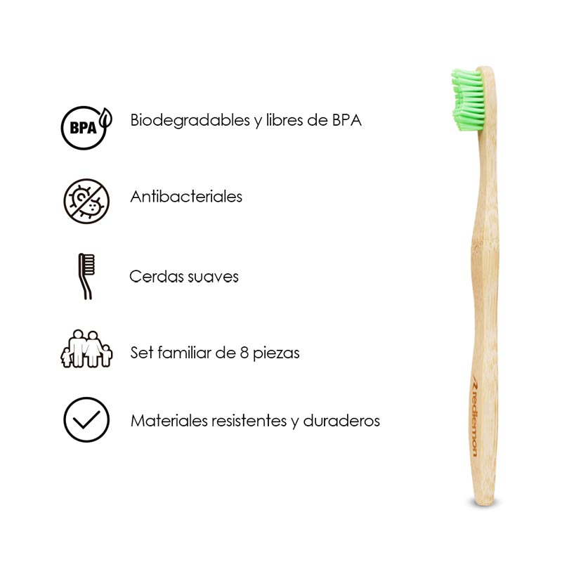 Porta Cepillos de Dientes con forma de Muela – Miscellaneous by Caff