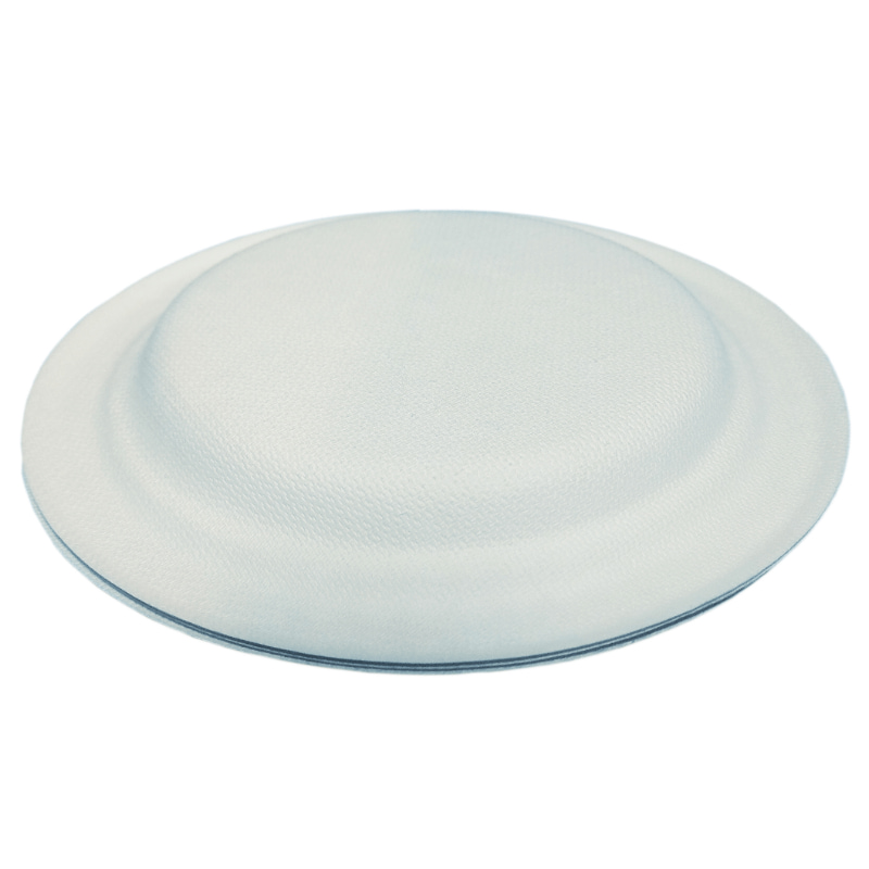 50 Platos Pasteleros Biodegradables De Bagazo De Caña 15 Cm (6 pulgadas)