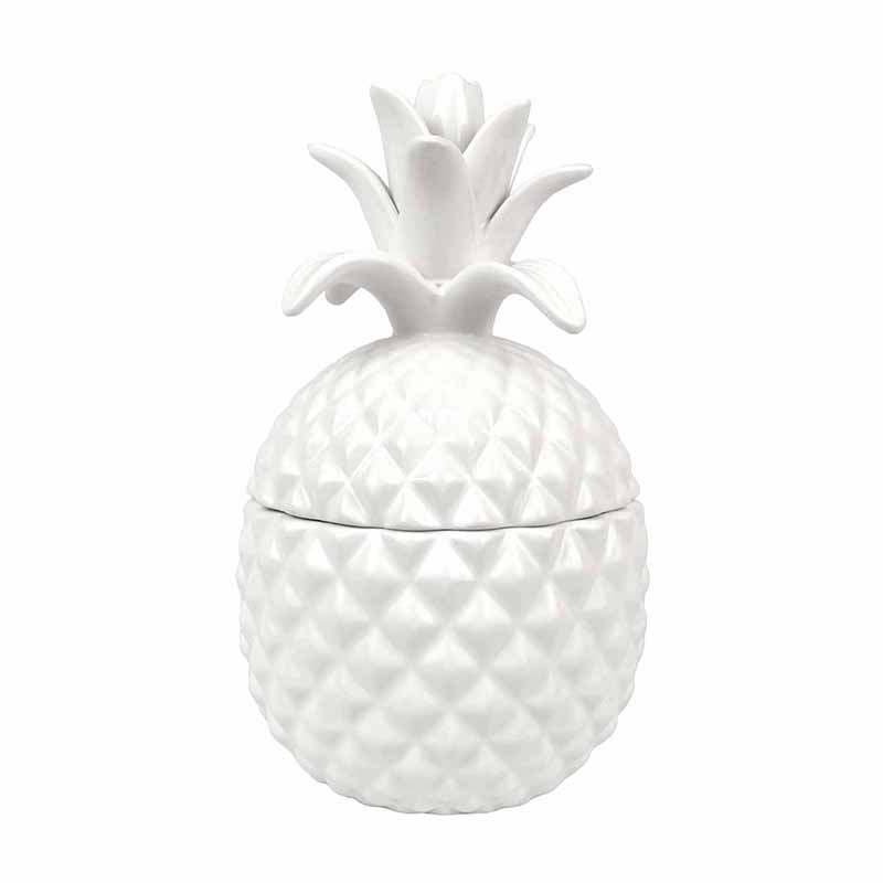 PiÃ±a con Tapa Blanca de CerÃ¡mica  DMF-4213