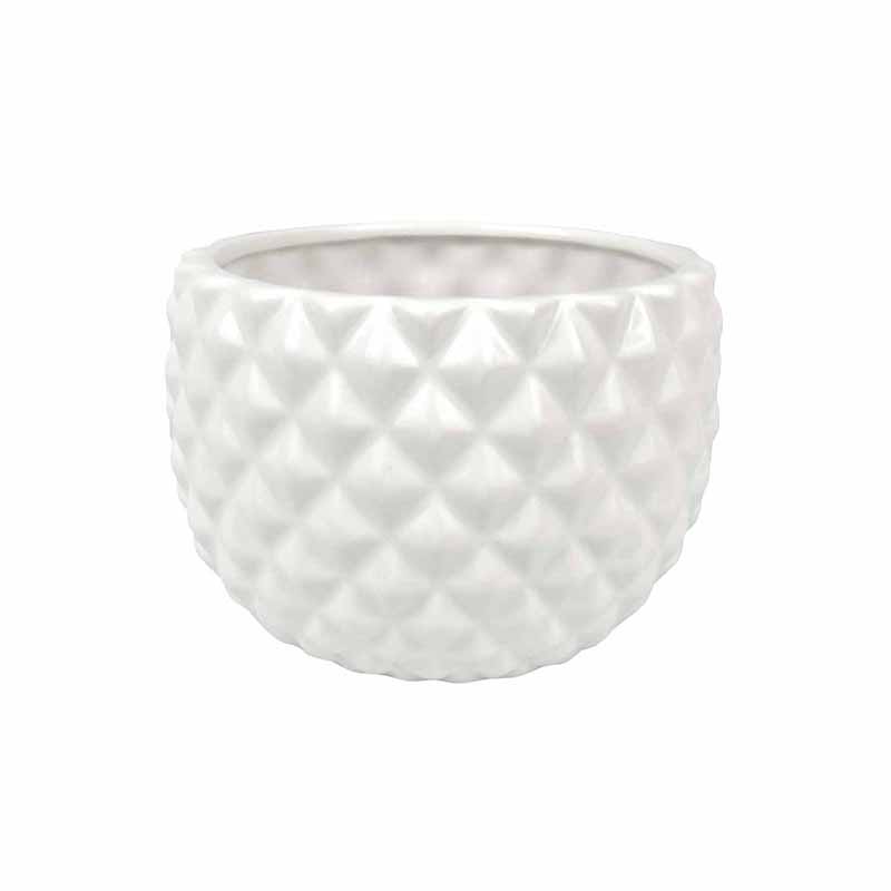 PiÃ±a con Tapa Blanca de CerÃ¡mica  DMF-4213