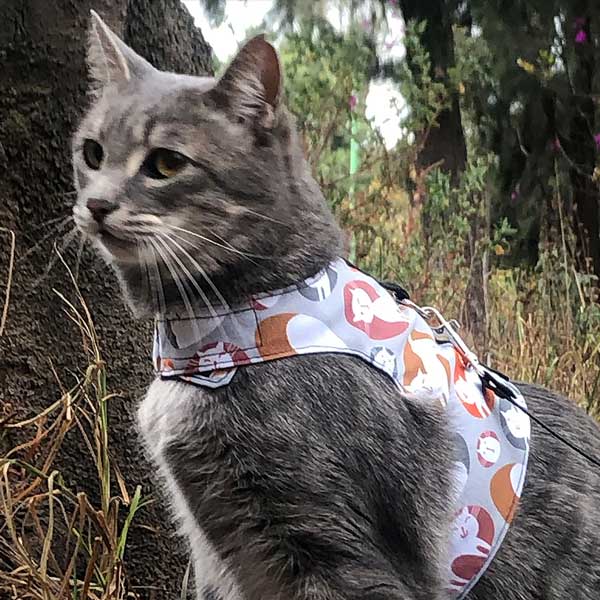 Arneses La Gatería