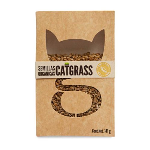 Catgrass pasto para gato de trigo