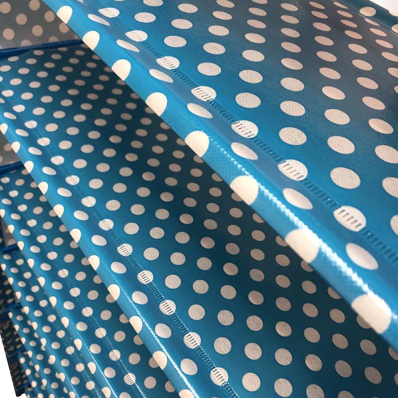 Rack Zapatera Zapatero Librero Moderna Organizador Zapatos AZUL