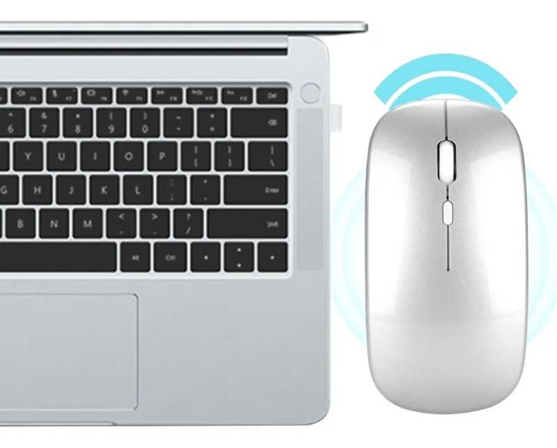 Mouse inalambrico ergonomico Gadgets & fun con bateria de litio recargable silencioso