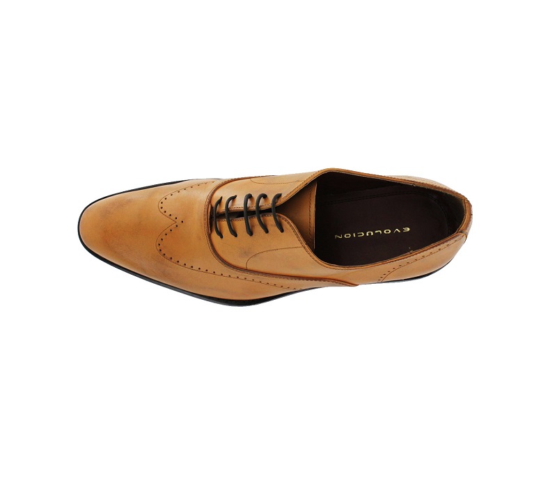 Zapato Calzado Vestir Fashion Evolución 62850 Miel