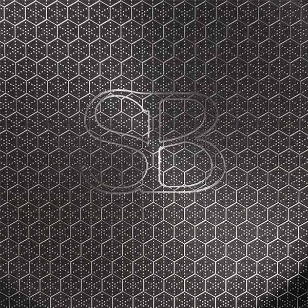 Schones Bauen Sarten de acero Inoxidable para induccion Anti rayaduras, de 20 cm