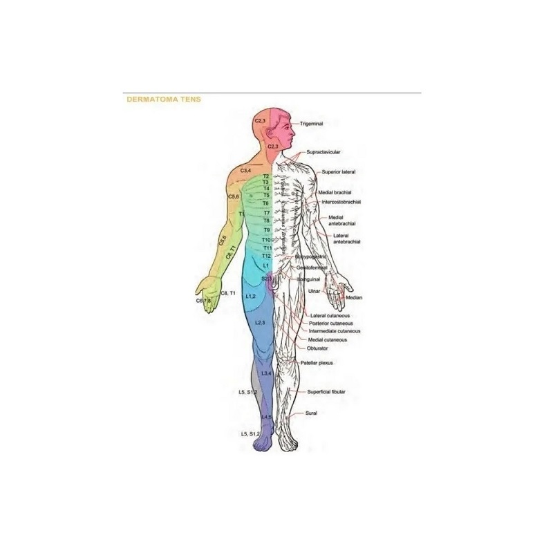 Electrodos Para Tens Y Ems 4 Piezas 5x5 Cm