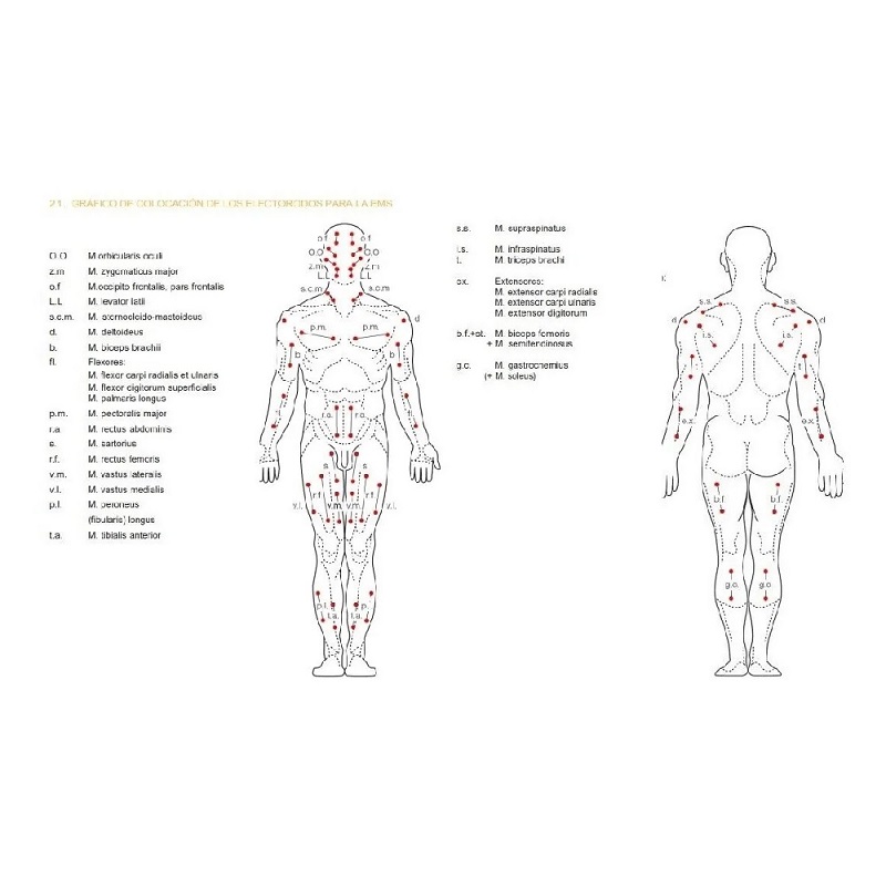 Electrodos Para Tens Y Ems 4 Piezas 5x5 Cm