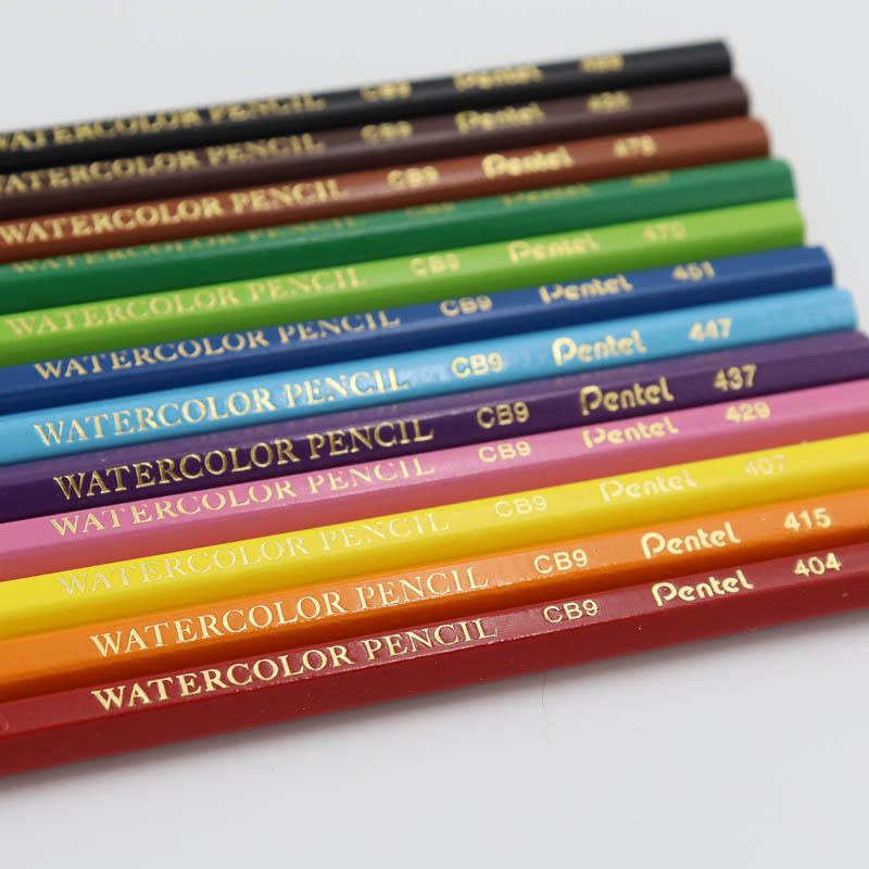 Lapices Acuarelables Colores Pentel 12 Pzas