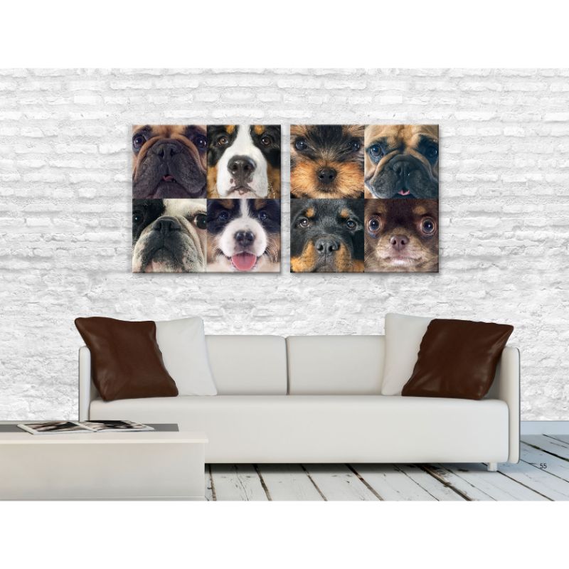 Cuadros Decorativos Collage Perros MobileCity Set 2 piezas 30 x 30