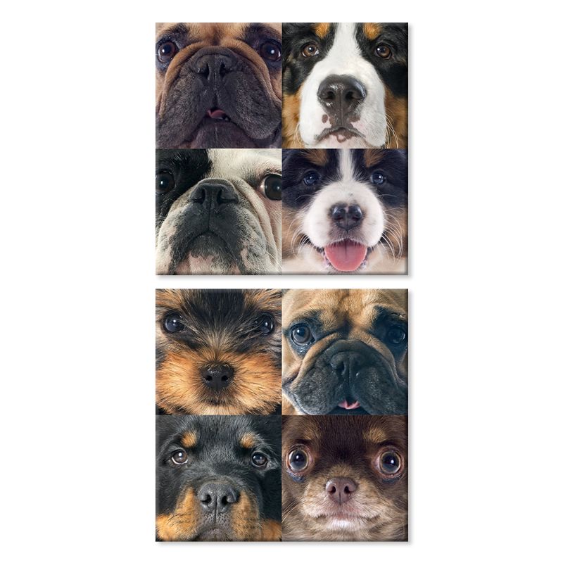 Cuadros Decorativos Collage Perros MobileCity Set 2 piezas 30 x 30
