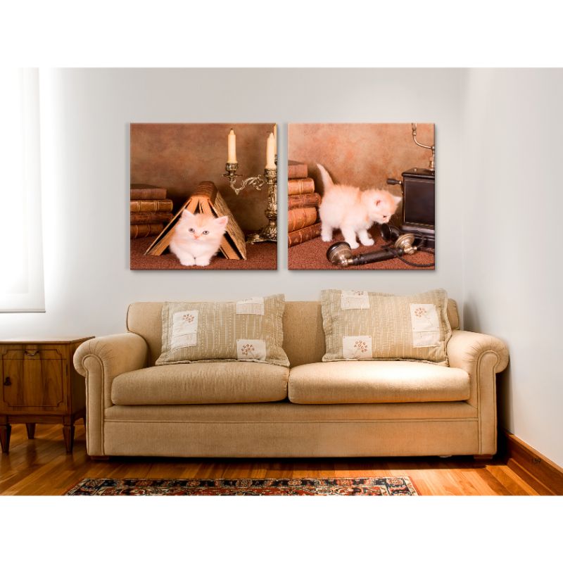 Cuadros Decorativos Pequeños Gatos MobileCity Set 2 piezas 30 x 30