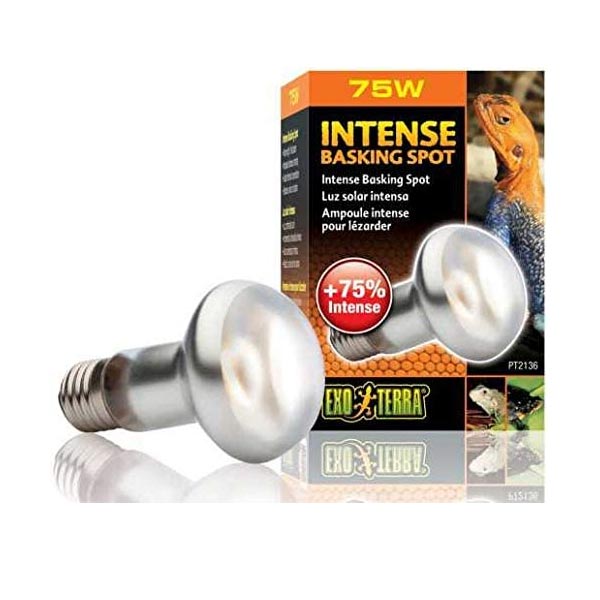 Exo Terra Foco Baskin Spot , Luz Solar Intensa 75 W