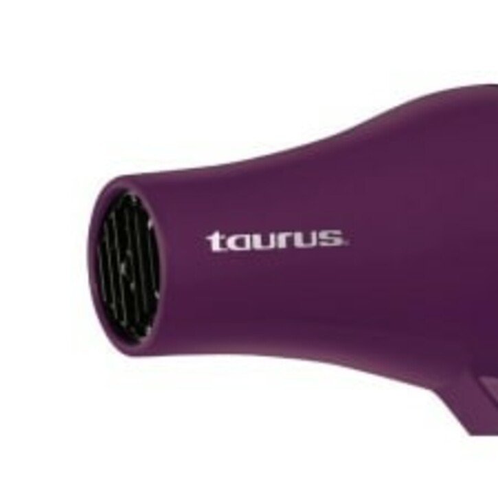 Secadora Taurus Juliet Precio Outlet Store, UP TO 63% OFF |  www.editorialelpirata.com