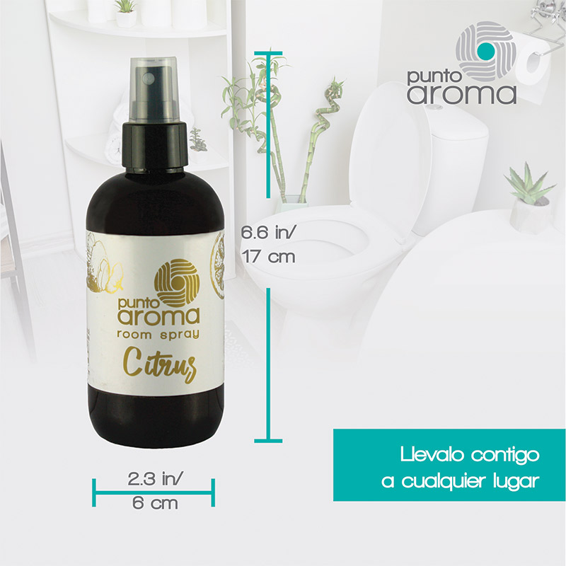 Kit 2x Ambientador de Fragancia,1x Aroma Coche Nuevo - Aroma Naranja + New Car