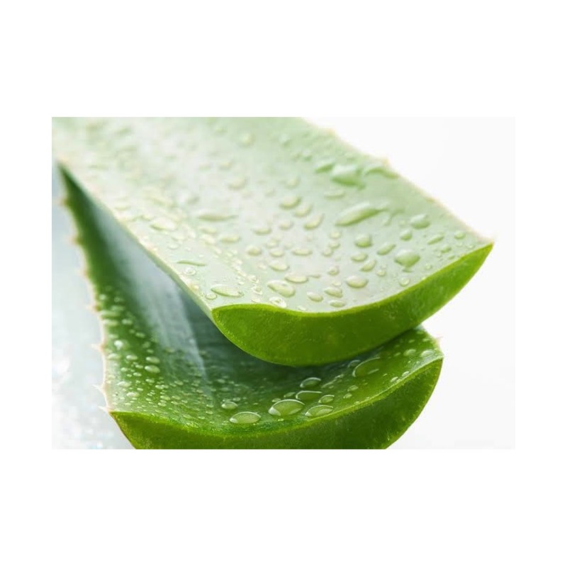 Gel de Aloe Vera Sábila Anti Acné Humectante Hidratante Suavizante