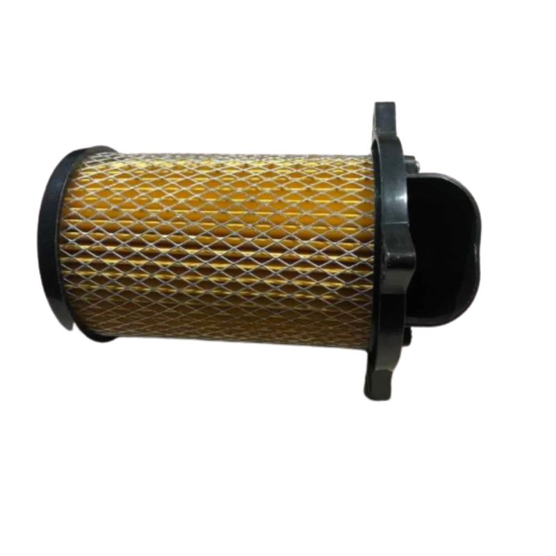 Filtro De Aire Italika Dm-150. 2010-2015 Cel-ficn50 MobileCity Amarillo