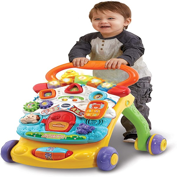 Vtech - Correpasillos Andandin 2 en 1, Vtech