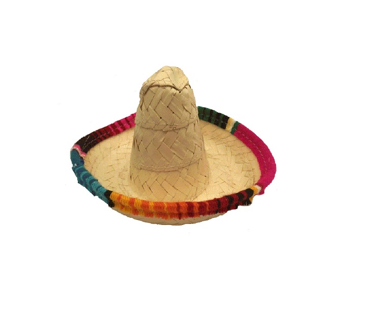 Sombrero Mexicano Para Perro Mediano Fabricado En Palma